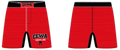 CEWA Fight Shorts -3